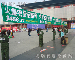 陽(yáng)光大道，我們的步伐依然輕盈