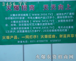 火爆招商 天天向上