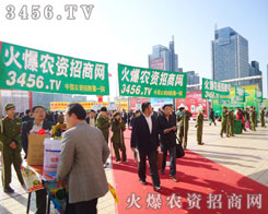 能打硬仗、永不言棄的火爆團(tuán)隊