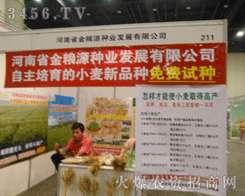 河南省金糧源種業(yè)發(fā)展有限公司