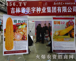 華宇種業(yè)參加2013長春種子會