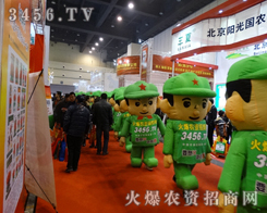 繁華演盡，火爆農(nóng)資網(wǎng)再次迎來新的機(jī)遇