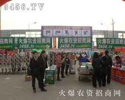 火爆農(nóng)資招商的綠色娘子軍團隊來到黑莊農(nóng)資會！