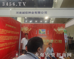 河南誠(chéng)信種業(yè)在種子雙交會(huì)干得火熱朝天