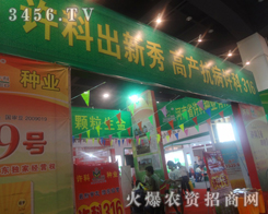 河南省許科種業(yè)在2013夏季種子交易會(huì)上引人矚目