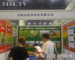 河南谷悅齊種業(yè)在2013夏季種子會(huì)上一絲不茍