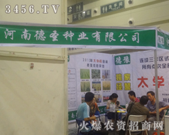 河南德圣種業(yè)在鄭州種子交易會(huì)忙的不亦樂(lè)乎