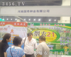 河南國(guó)奇種業(yè)在2013夏季種子會(huì)精益求精