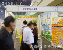 安陽市農(nóng)業(yè)科學(xué)院以盛大場面出展