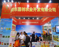 洛陽(yáng)市嘉創(chuàng)的展廳引來(lái)人群圍觀