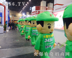 火爆農(nóng)資招商網(wǎng)氣模娃娃讓2014中原肥料會倍加熱鬧