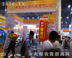 偃師市華都種子的新品讓大家眼前一亮