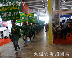 搭建夢想 助您成功