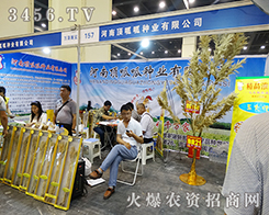 河南頂呱呱借力2015鄭州種子交流會再創(chuàng)輝煌