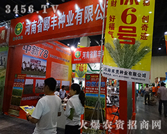 郾豐種業(yè)預(yù)祝2015鄭州種子交流會圓滿成功