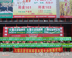 2015夏季種子會(huì)，火爆戰(zhàn)士如約而至