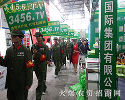 火爆團隊--團隊！