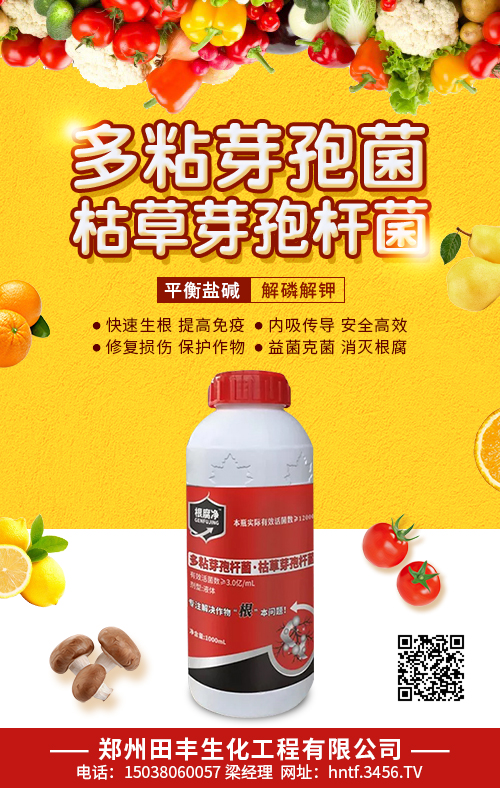å¤šç²˜èŠ½å­¢èŒ