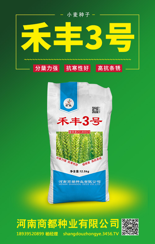 禾豐3號(hào)