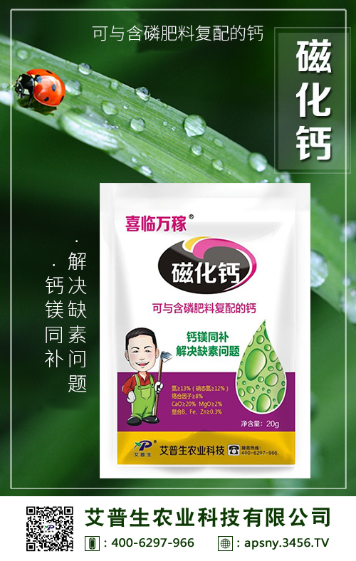 磁化鈣