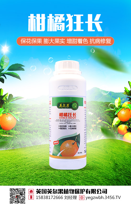柑橘狂長(zhǎng)