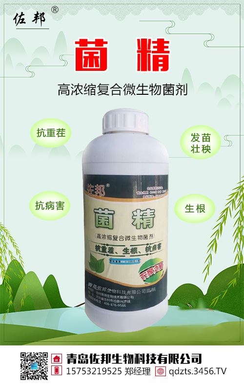 菌精
