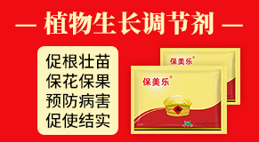 鄭州綠業(yè)元農業(yè)科技有限公司