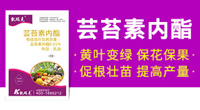 河北凱瑞克農業(yè)科技有限公司