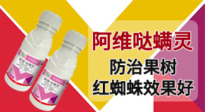 山東百農思達生物科技有限公司