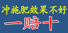 北美農大集團