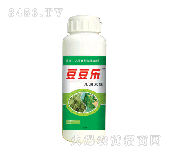 豆豆樂(lè)