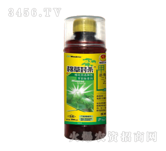 æ³°é™½-æ£‰è‰å°æ®º