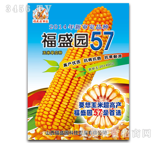 福盛源57-玉米種子-強盛種業(yè)