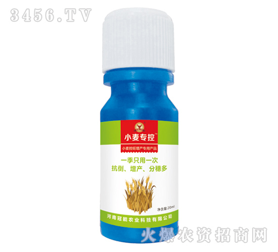 小麥控旺增產(chǎn)專用葉面肥-小麥?？?冠能農(nóng)業(yè)