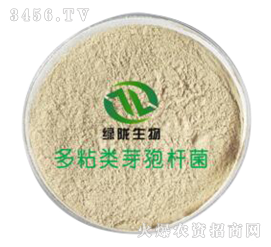 å¤šç²˜é¡žèŠ½å­¢æ¡¿èŒ-ç¶ éš´ç”Ÿç‰©