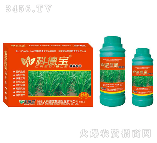 韭菜專用營(yíng)養(yǎng)增產(chǎn)調(diào)理劑-科德寶