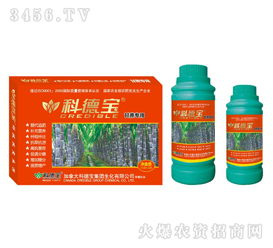 甘蔗專用營養(yǎng)增產調理劑-科德寶