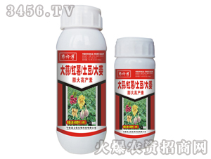 大蒜、大姜膨大高產(chǎn)素-郭師傅-立信生物