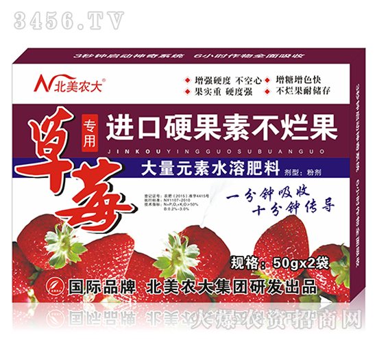 草莓進口硬果素不爛果-北美農大
