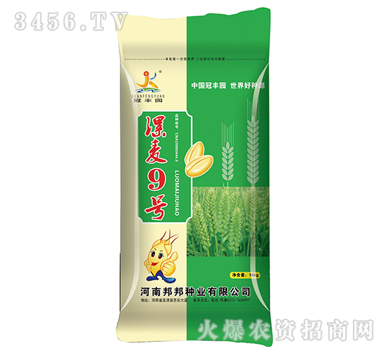 小麥種子-漯麥9號(hào)-邦邦種業(yè)