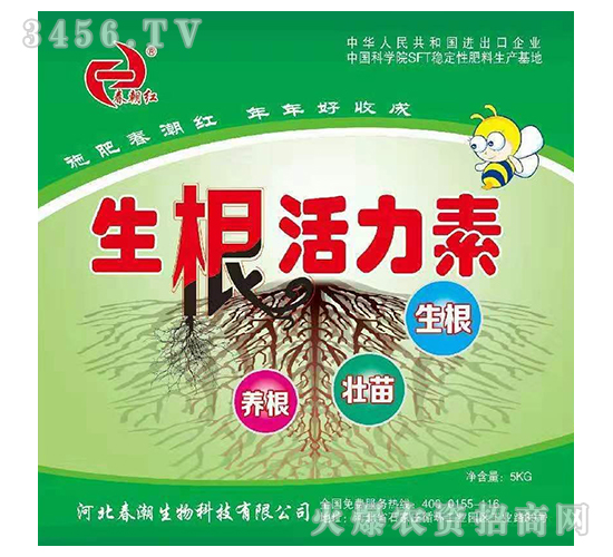 ç”Ÿæ ¹æ´»åŠ›ç´ -æ˜¥æœç´…-æ˜¥æ½®