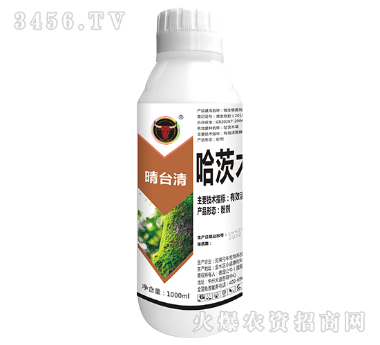 å“ˆèŒ¨æœ¨éœ‰èŒ-æ™´è‡ºæ¸…-å…¬ç‰›åœ‹éš›