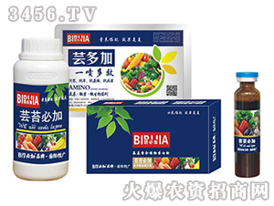 蕓苔必加-鑫禾生物