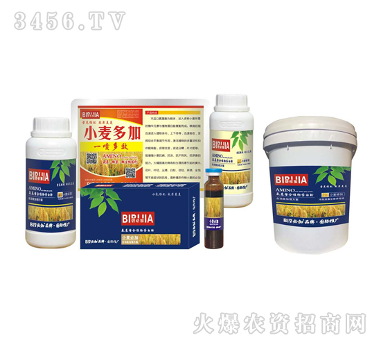 小麥必加-鑫禾生物
