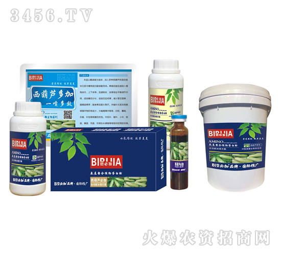 西葫蘆必加-鑫禾生物