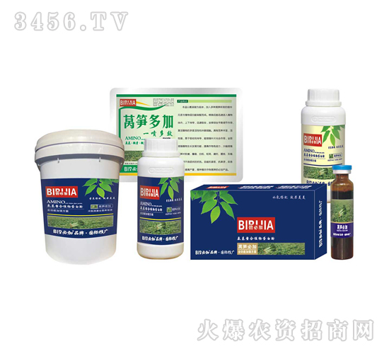 萵筍必加-鑫禾生物