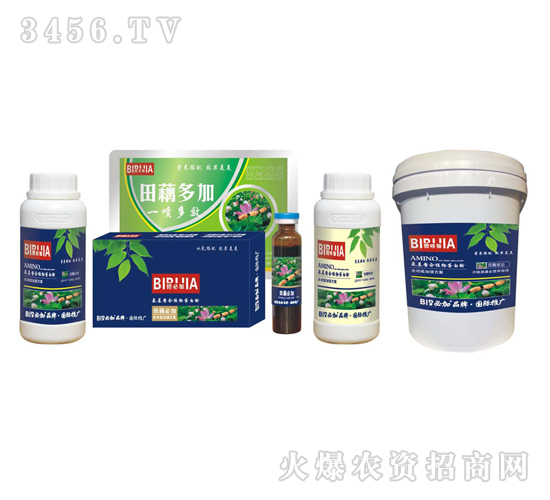 田藕必加-鑫禾生物