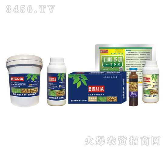 çŸ³æ–›å¿…åŠ -é‘«ç¦¾ç”Ÿç‰©