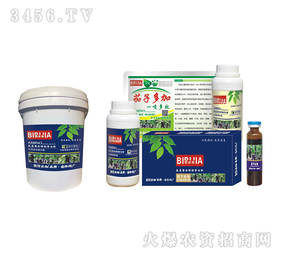 茄子必加-鑫禾生物