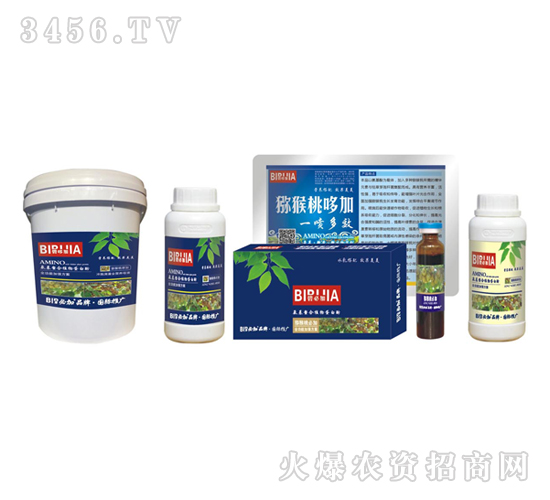 獼猴桃必加-鑫禾生物